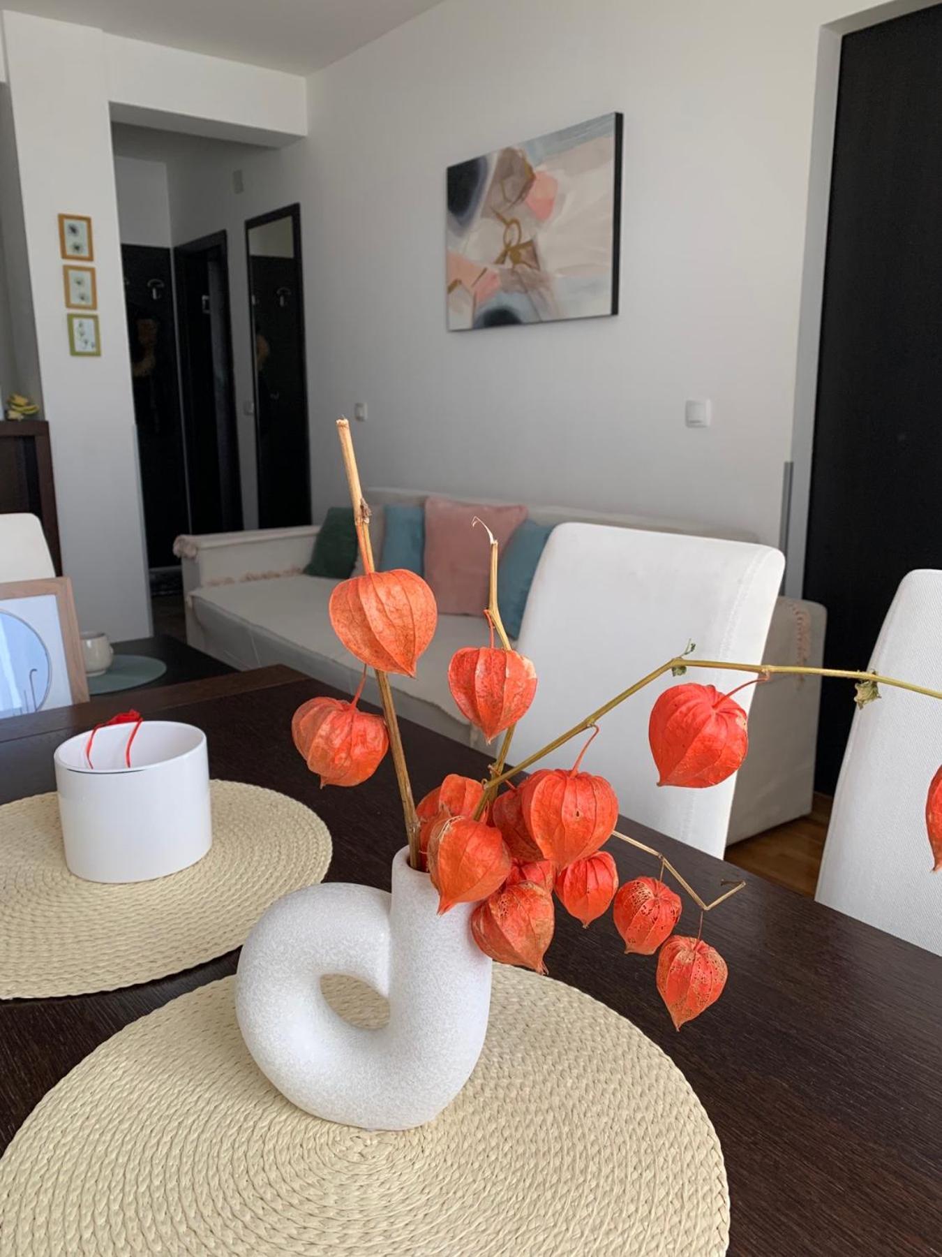 Beli Apartman U Zlatiborskim Konacima Bele Vode Bb Buitenkant foto