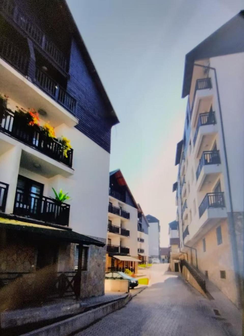 Beli Apartman U Zlatiborskim Konacima Bele Vode Bb Buitenkant foto
